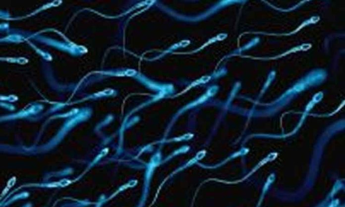 sperm count