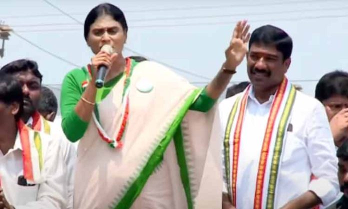 YS Sharmila election campaign in Payakaraopeta
