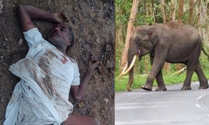 Farmer died in elephant attack