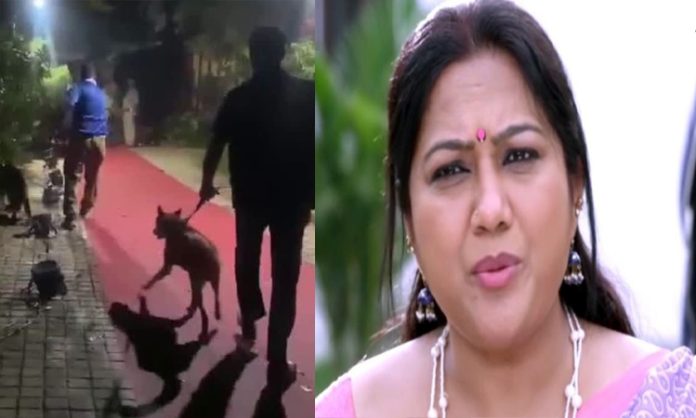 Actress Hema Letter to Bengaluru Crime Branch Police in Rave Party Case