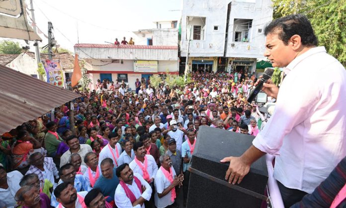 KTR fire on BJP