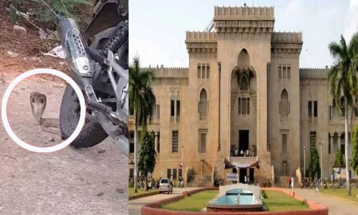 Snake found in Osmania university