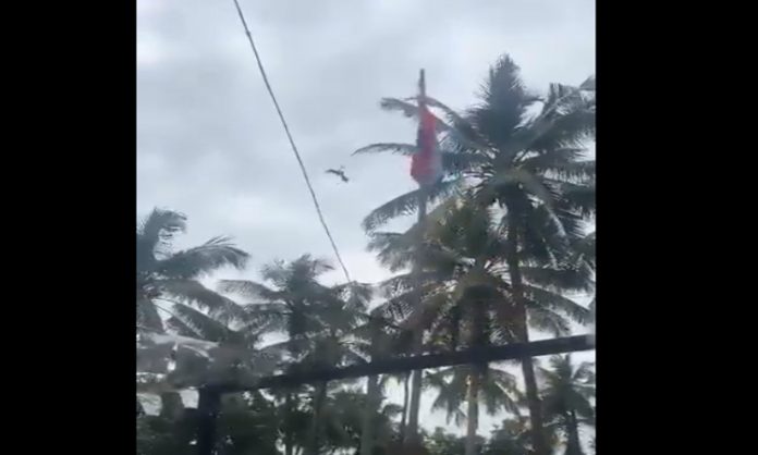 Bird's flag hoisting