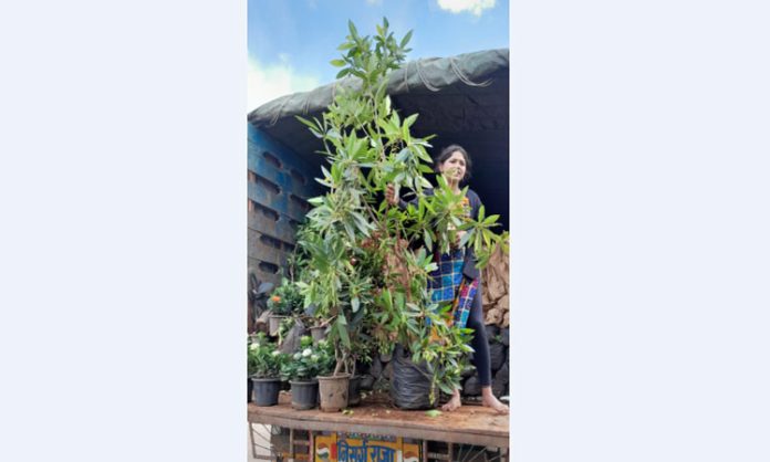 Government's focus on increasing the area of ​​horticultural crops