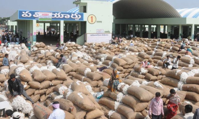 Cotton farmer loss in khammam