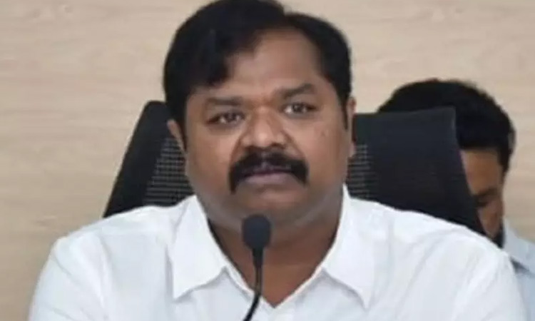 ఎపిలో రెడ్ బుక్ రాజ్యాంగం నడుస్తోంది: దాడిశెట్టి