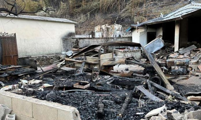 Wildfires ravage southern South Korea