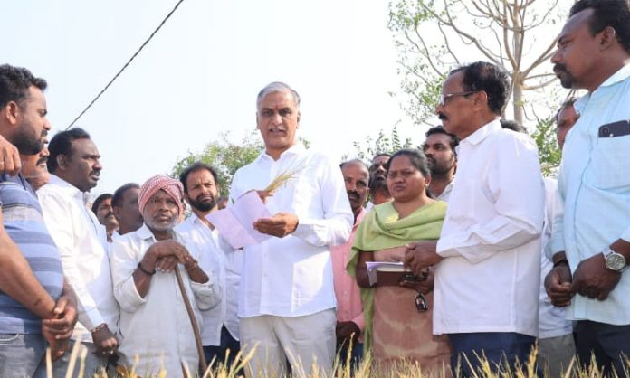 Input subsidy provided to farmers
