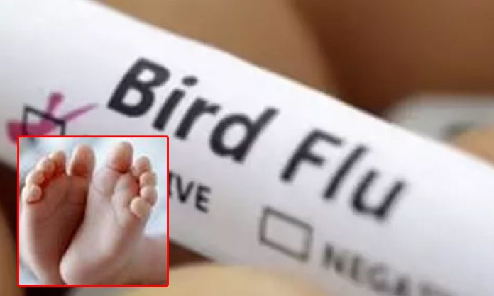 First Bird Flu Death as 2-Year-Old