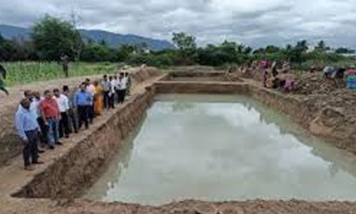 Fish ponds in villages
