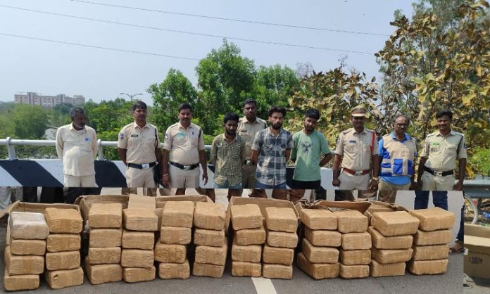 cannabis smuggling in packers and movers