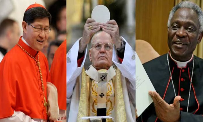 Pope Francis successor