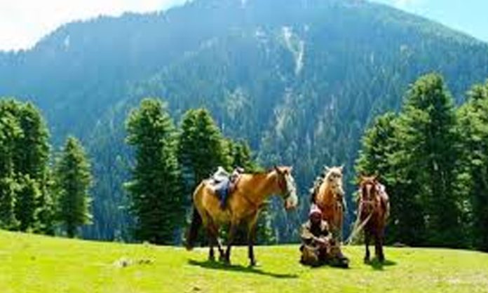 Ride horse refused in Pahalgam