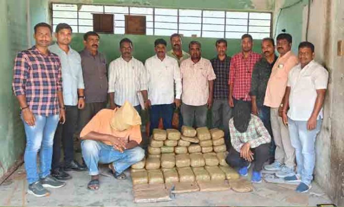 Police Seize Cannabis