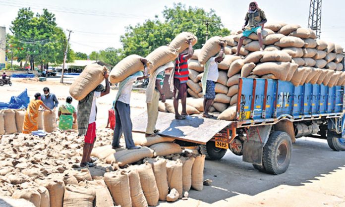 Grain collection increased three times