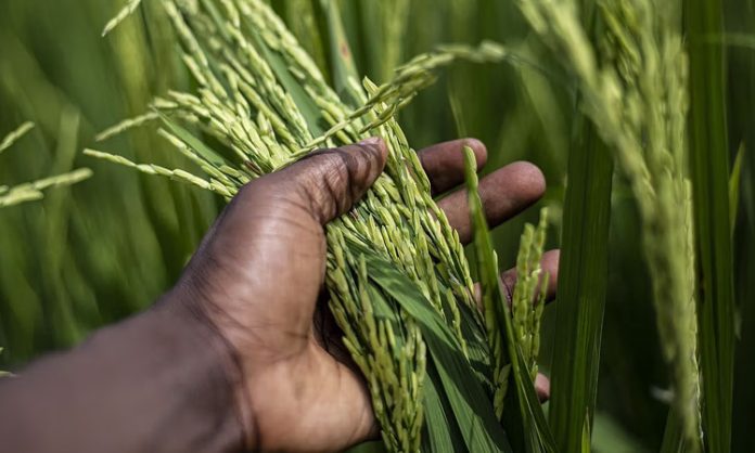 agriculture sector entered