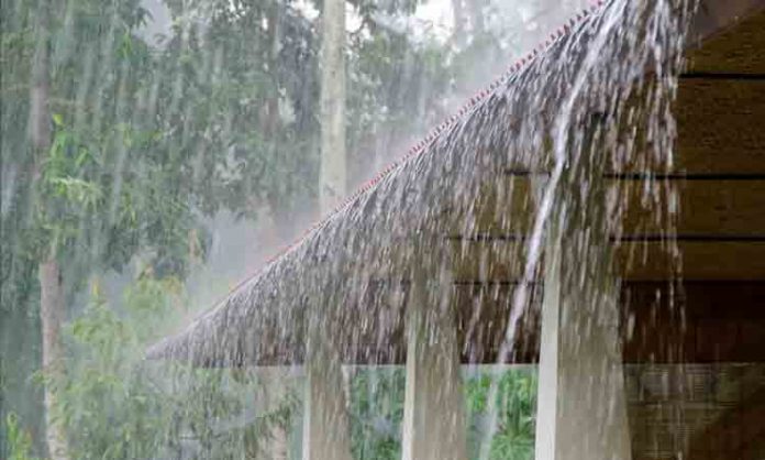 Rains Weather Report