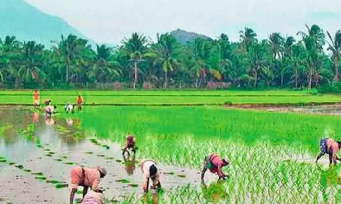 agriculture main source
