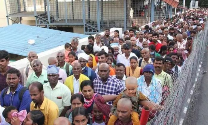 Tirumala daily visitors today