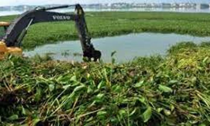 Biological agents destroy agriculture