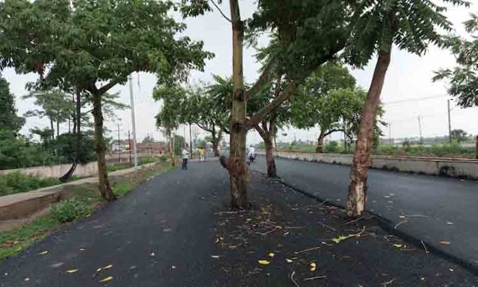 Bihar Road