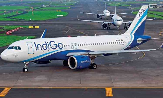 Indigo Plane