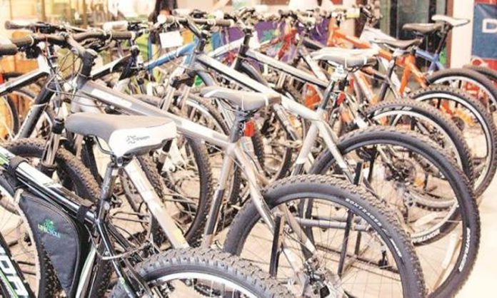 World Bicycle Day