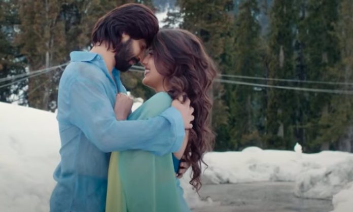 chowdary gari abbayi naidu gari ammai