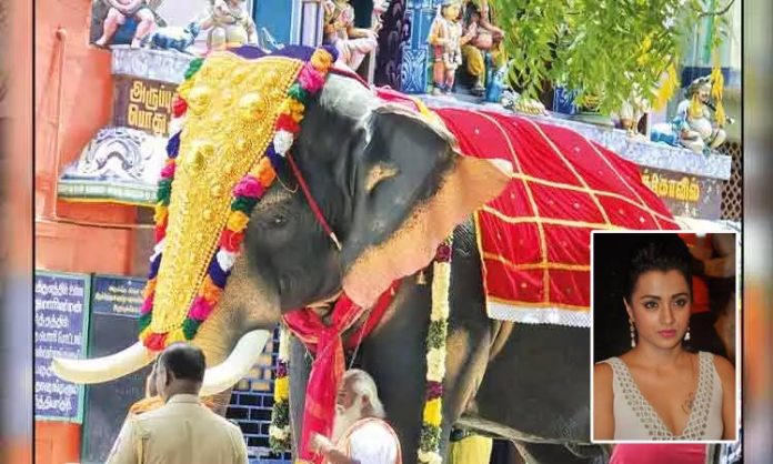 Trisha donates mechanical elephant to temple