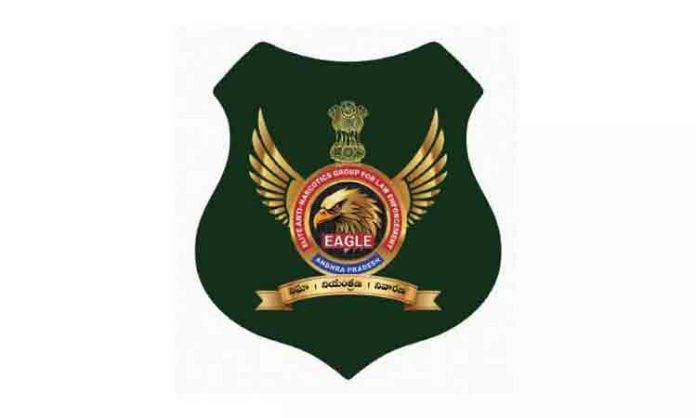 Eagle Team