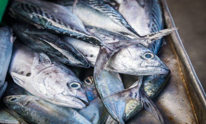 National Fish Farmers Day