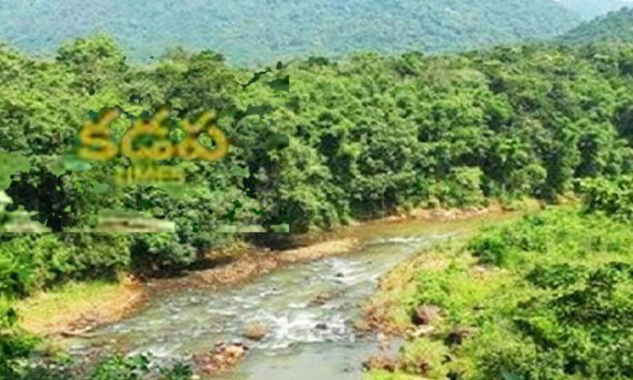 wife body dumped in Forest