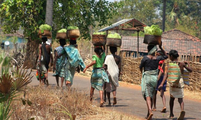 Today World Adivasi Day