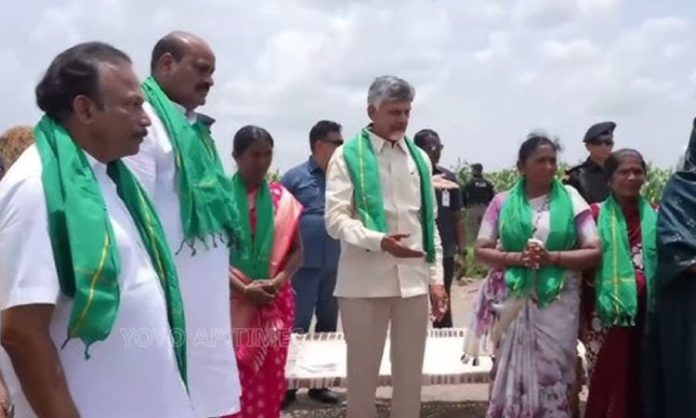 chandra babu naidu comments jagan