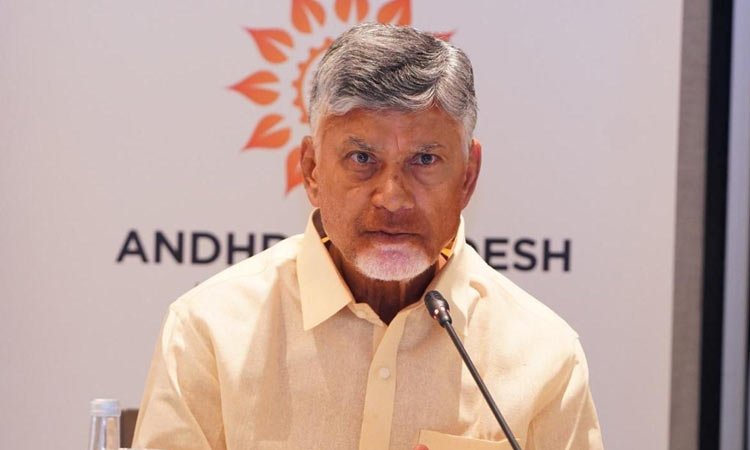 handloom industry TDP weavers