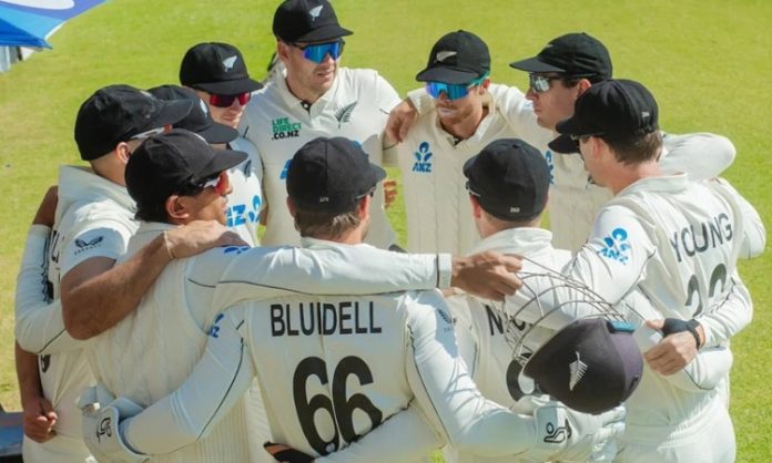 nz vs zim