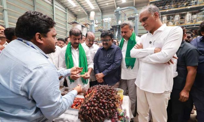 MLA Harish Rao