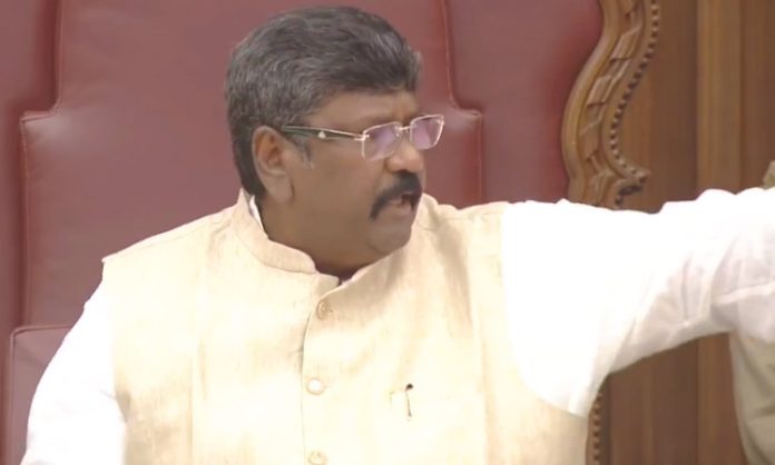AP Legislative Council