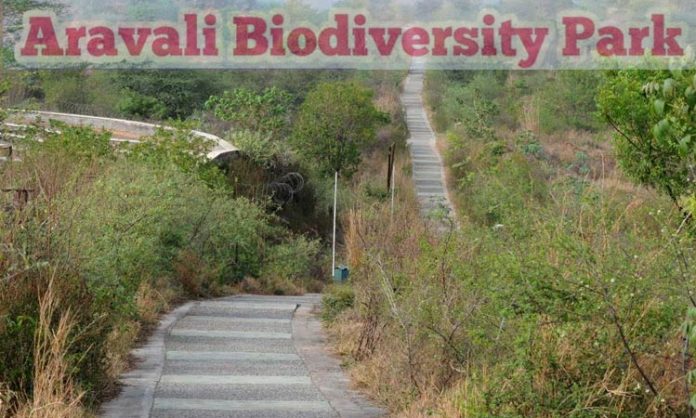 Aravali Park
