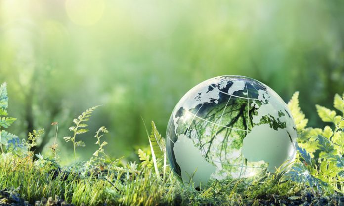 World Environmental Health Day