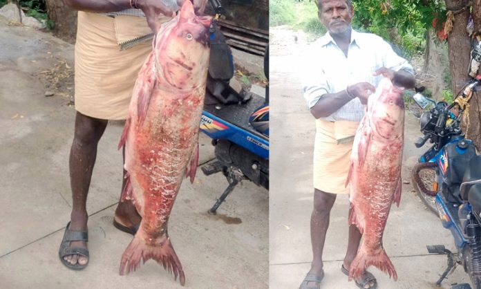 Fishermen hunting Lower Manair Dam