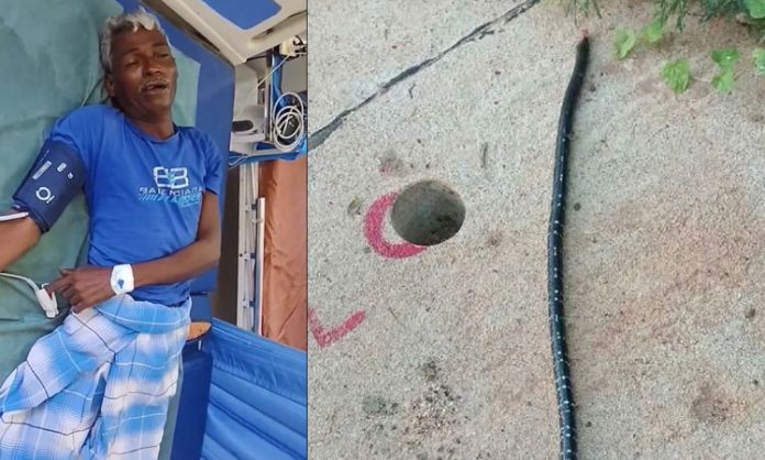 Drunken man bite Snake