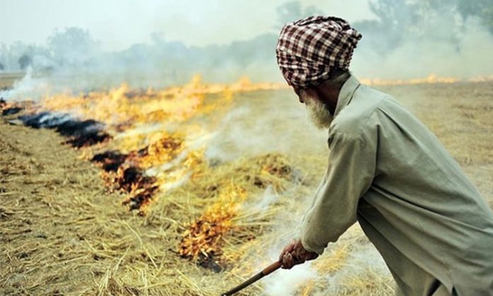 Rice straw waste heaviest